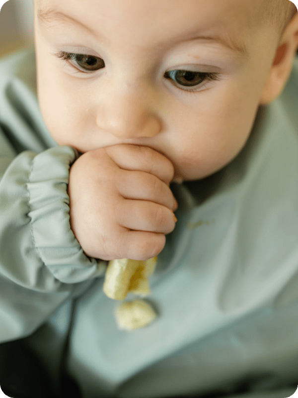 Baby eats a banana slice
