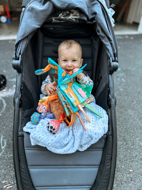 6 month old baby plays with toys in stroller.