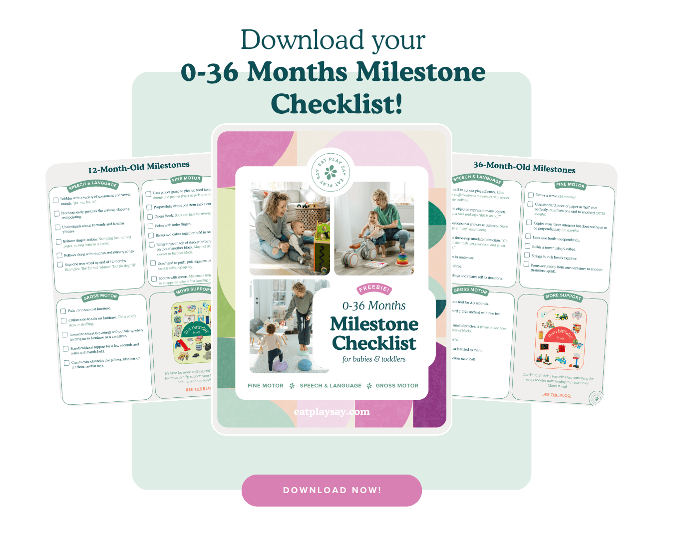 free milestone checklist image