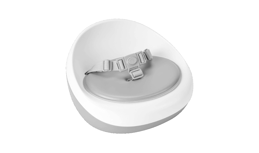 skiphop toddler booster seat