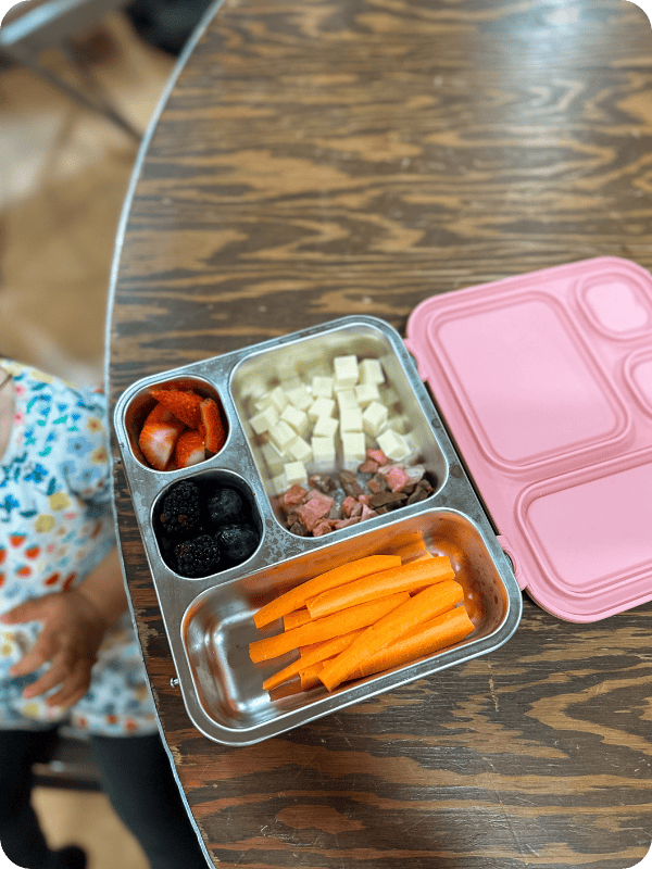 elk and friends stainless steel bento box opened at the lunch table 