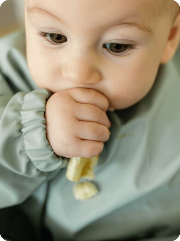 Baby practices self-feeding a banana.