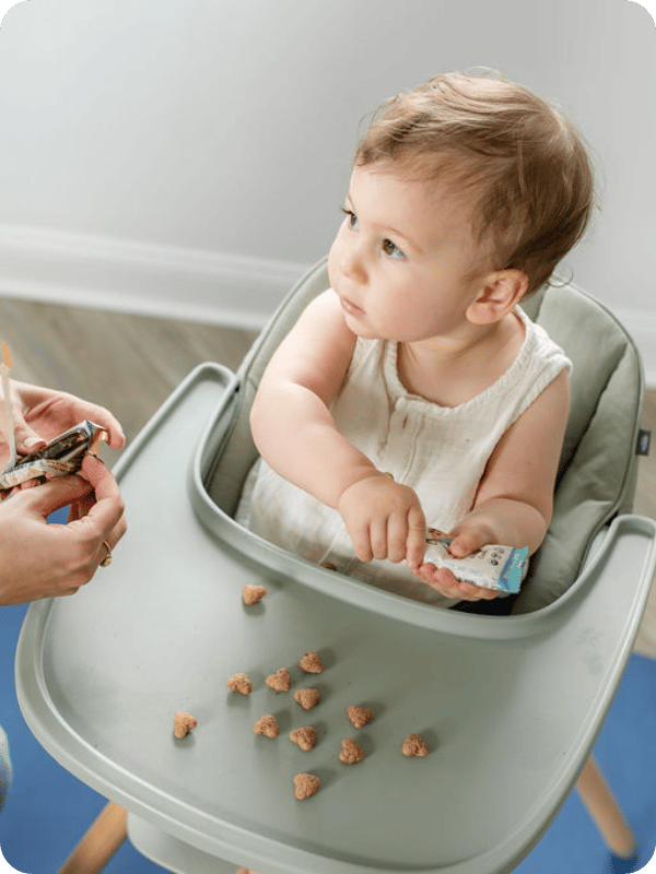 Infant eats a puff snack in the high chair.