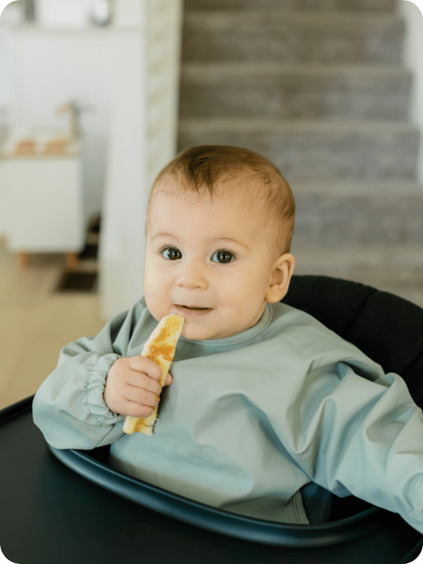 Infant eats a slice of banana in the high chair.