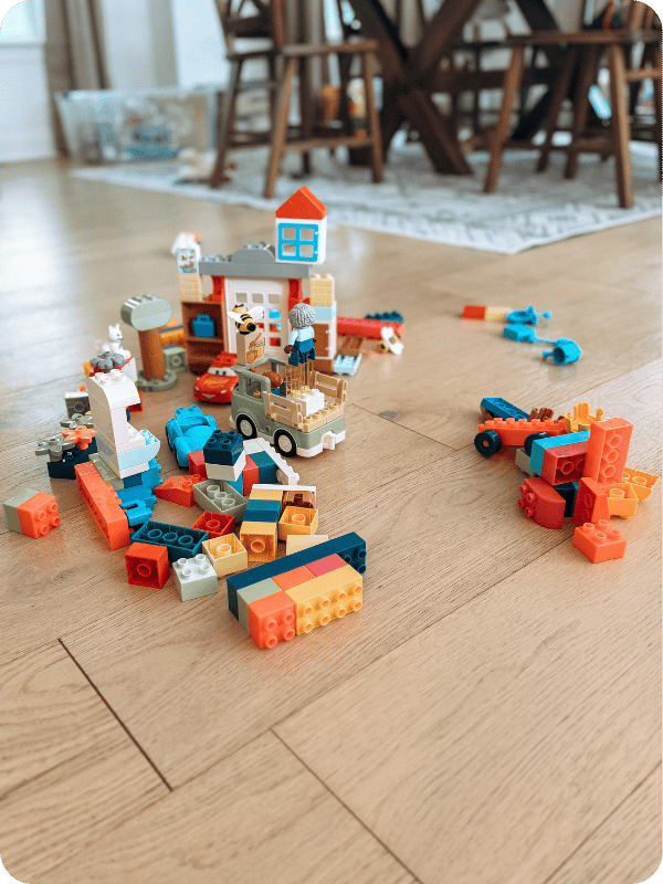 DUPLO block builds 